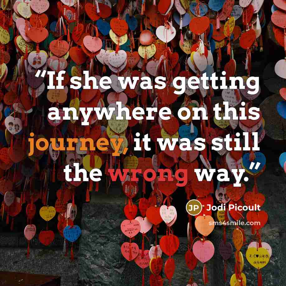 “If she was getting anywhere on this journey, it was still the wrong way.” quote by Jodi Picoult