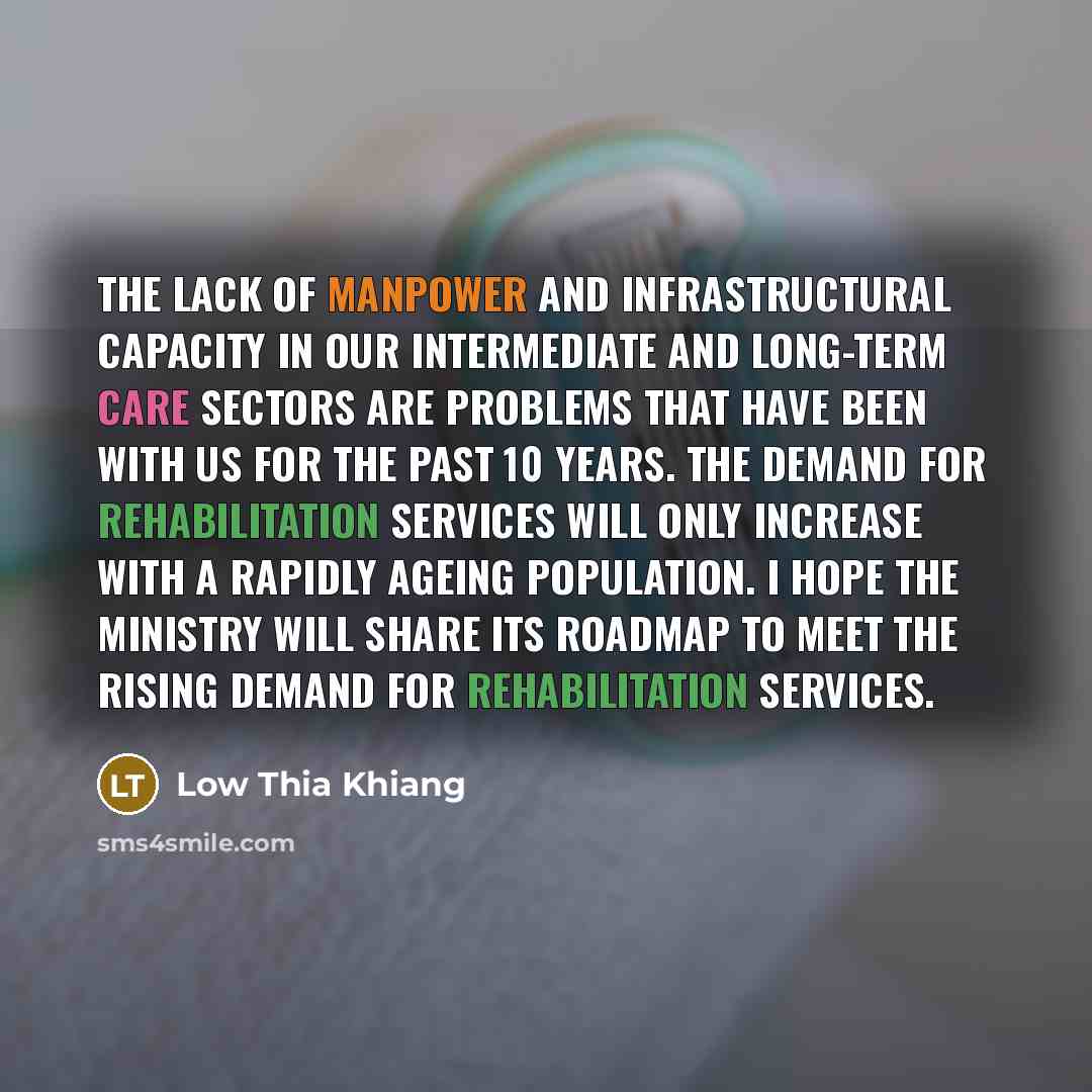 “The lack of manpower and infrastructural capacity in our Intermediate…” quote by Low Thia Khiang