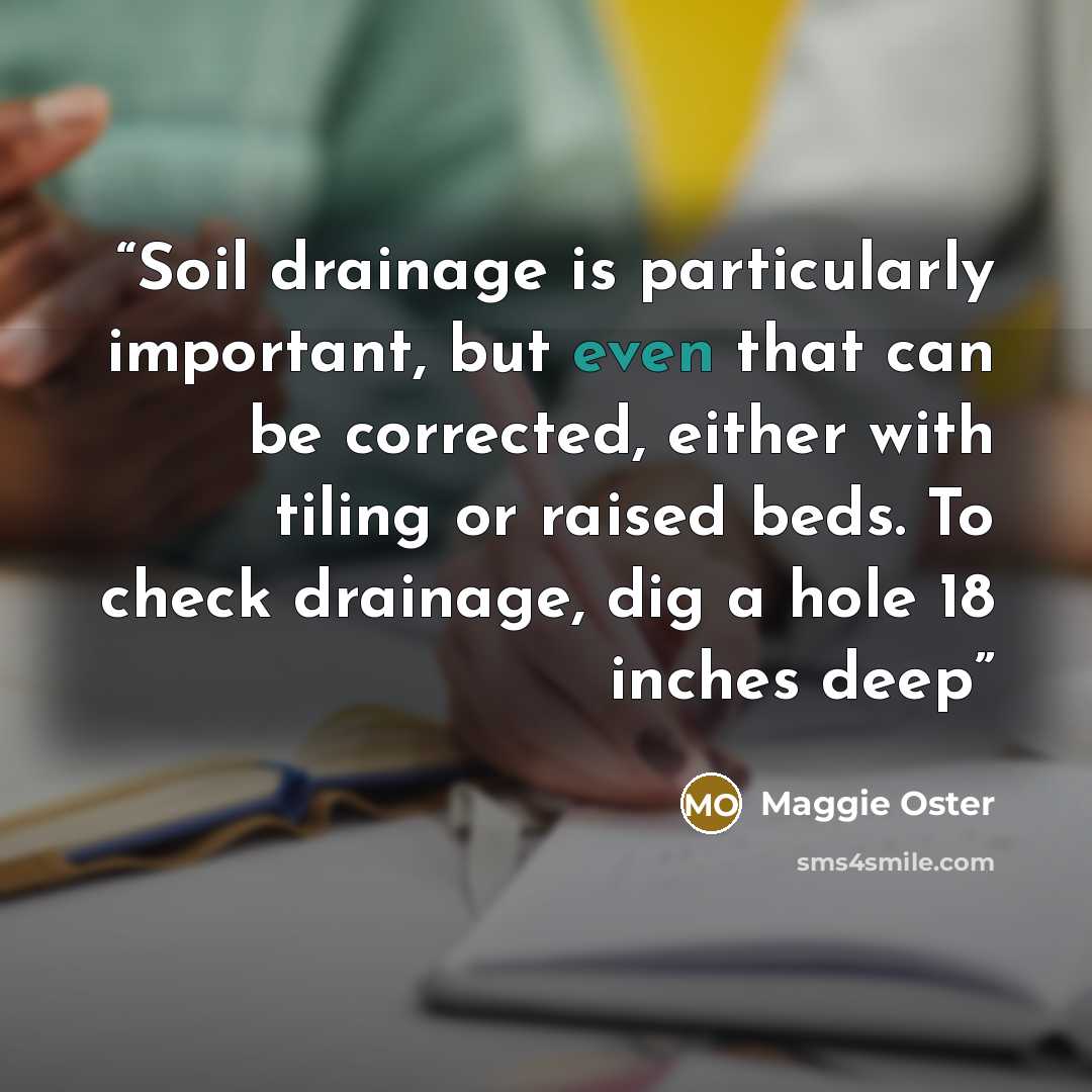 “Soil drainage is particularly important, but even that can be corrected, either with tiling or raised beds. To check drainage, dig a hole 18 inches deep” quote by Maggie Oster