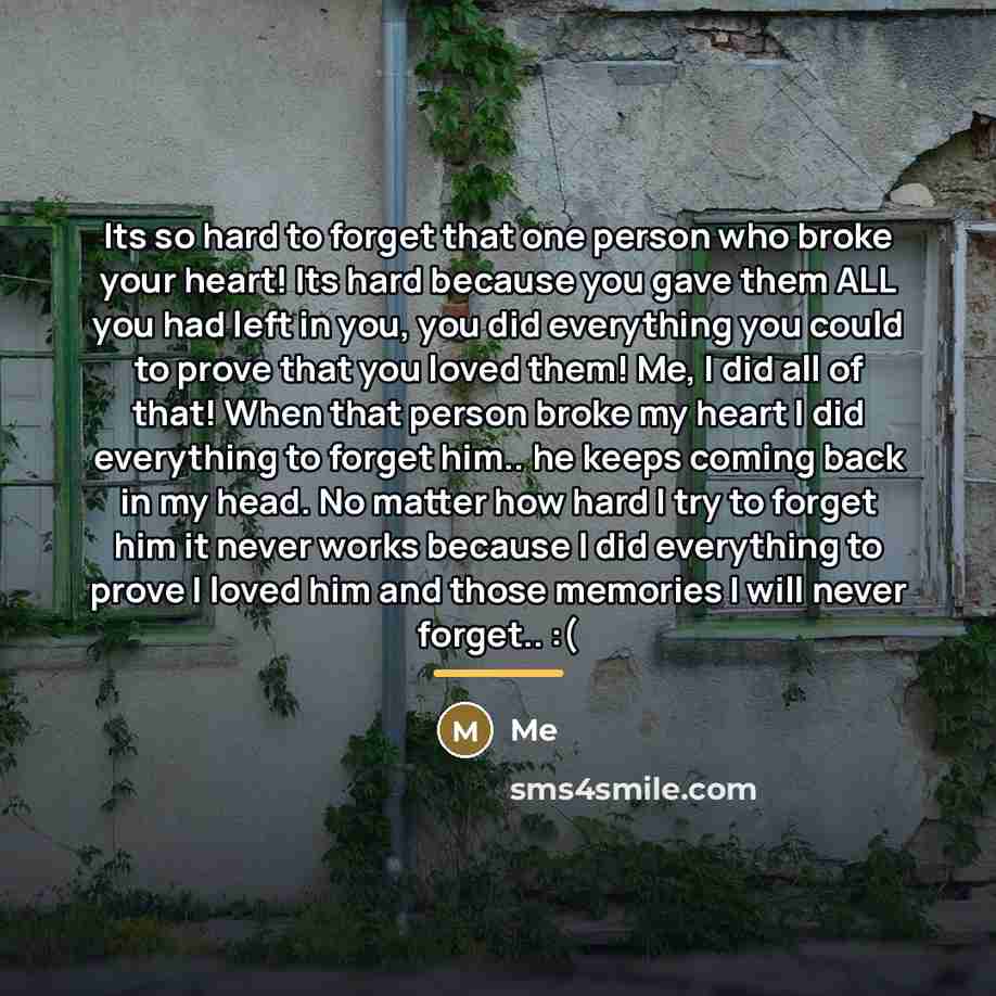 “Its so hard to forget that one person who broke…” quote by Me