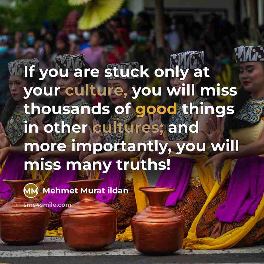 “If you are stuck only at your culture, you will…” quote by Mehmet Murat Ildan