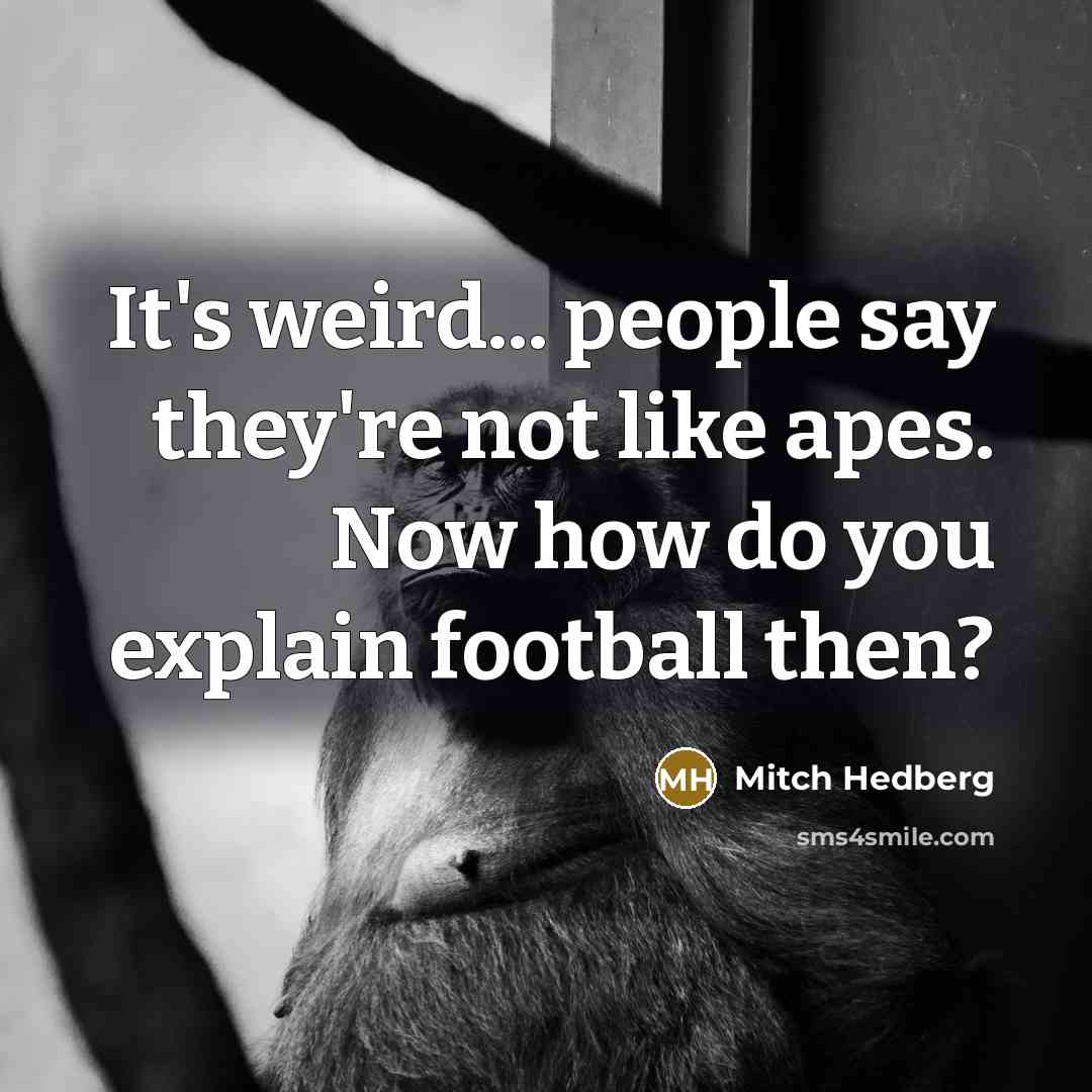 “It's weird... people say they're not like apes. Now how…” quote by Mitch Hedberg