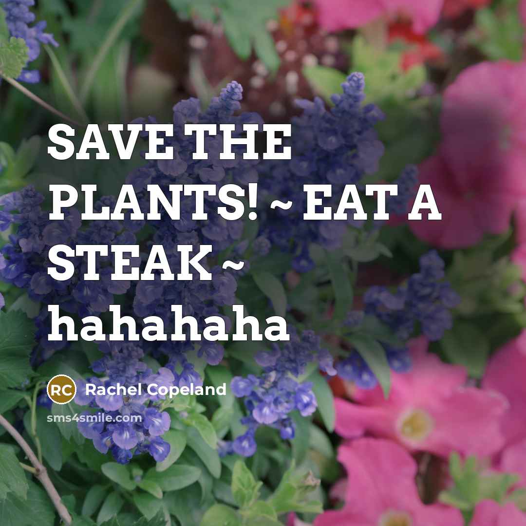 “SAVE THE PLANTS! ~ EAT A STEAK ~ hahahaha…” quote by Rachel Copeland