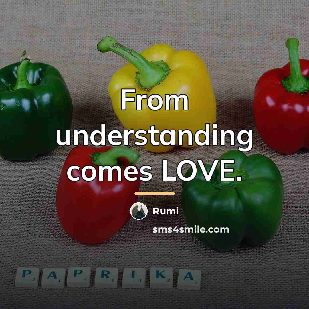 “From understanding comes LOVE.…” quote by Rumi