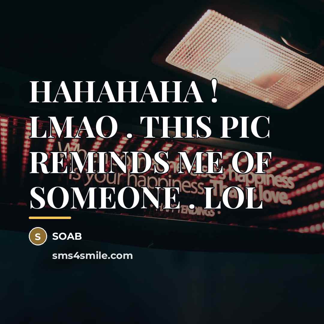 “HAHAHAHA ! LMAO . THIS PIC REMINDS ME OF SOMEONE…” quote by SOAB