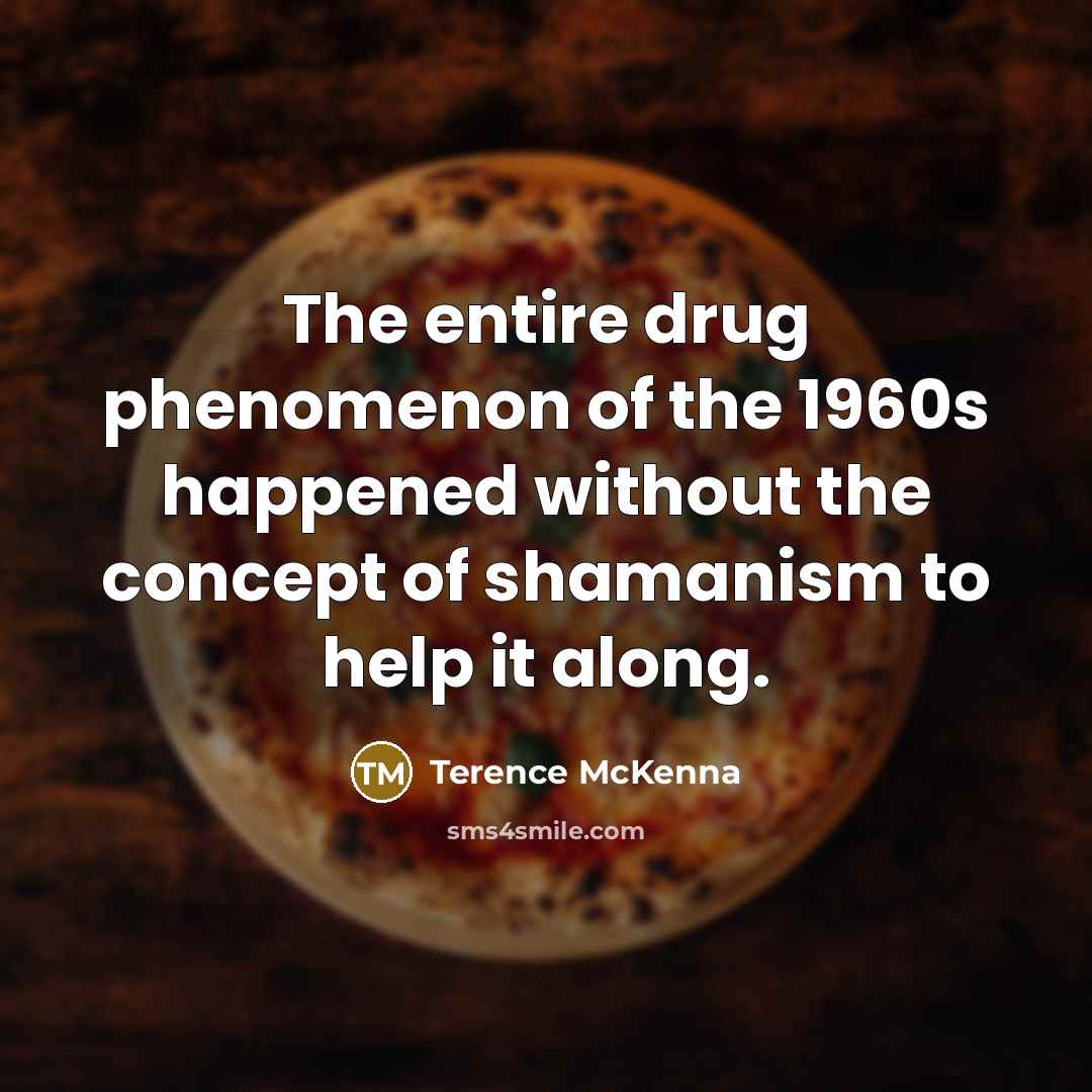 “The entire drug phenomenon of the 1960s happened without the…” quote by Terence McKenna