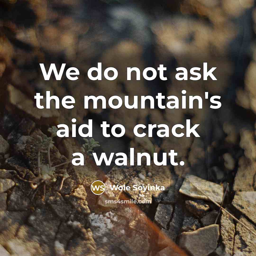 “We do not ask the mountain's aid to crack a…” quote by Wole Soyinka