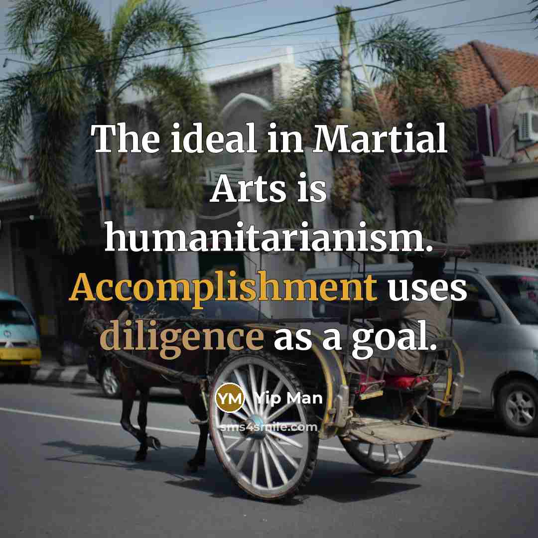 “The ideal in Martial Arts is humanitarianism. Accomplishment uses diligence…” quote by Yip Man