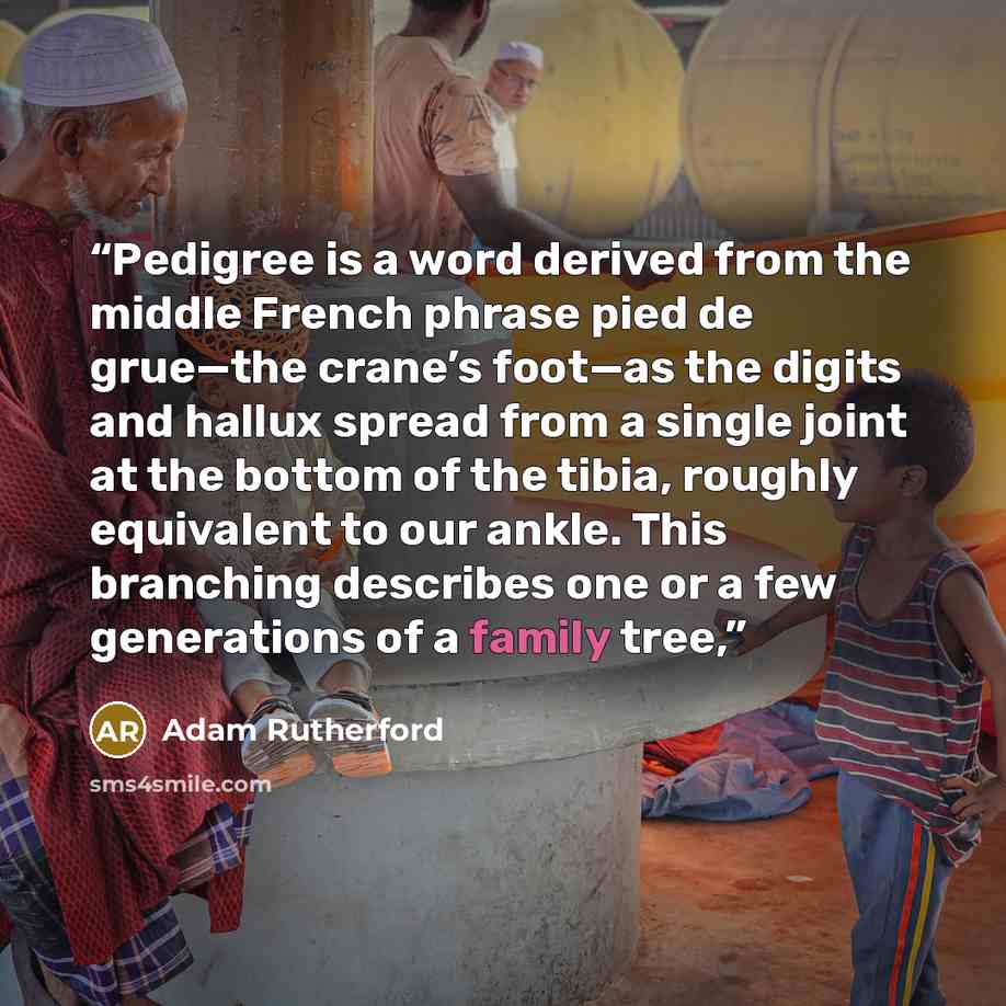 “Pedigree is a word derived from the middle French phrase pied de grue—the crane’s foot—as the digits and hallux spread from a single joint at the bottom of the tibia, roughly equivalent to our ankle. This branching describes one or a few generations of a family tree,” quote by Adam Rutherford