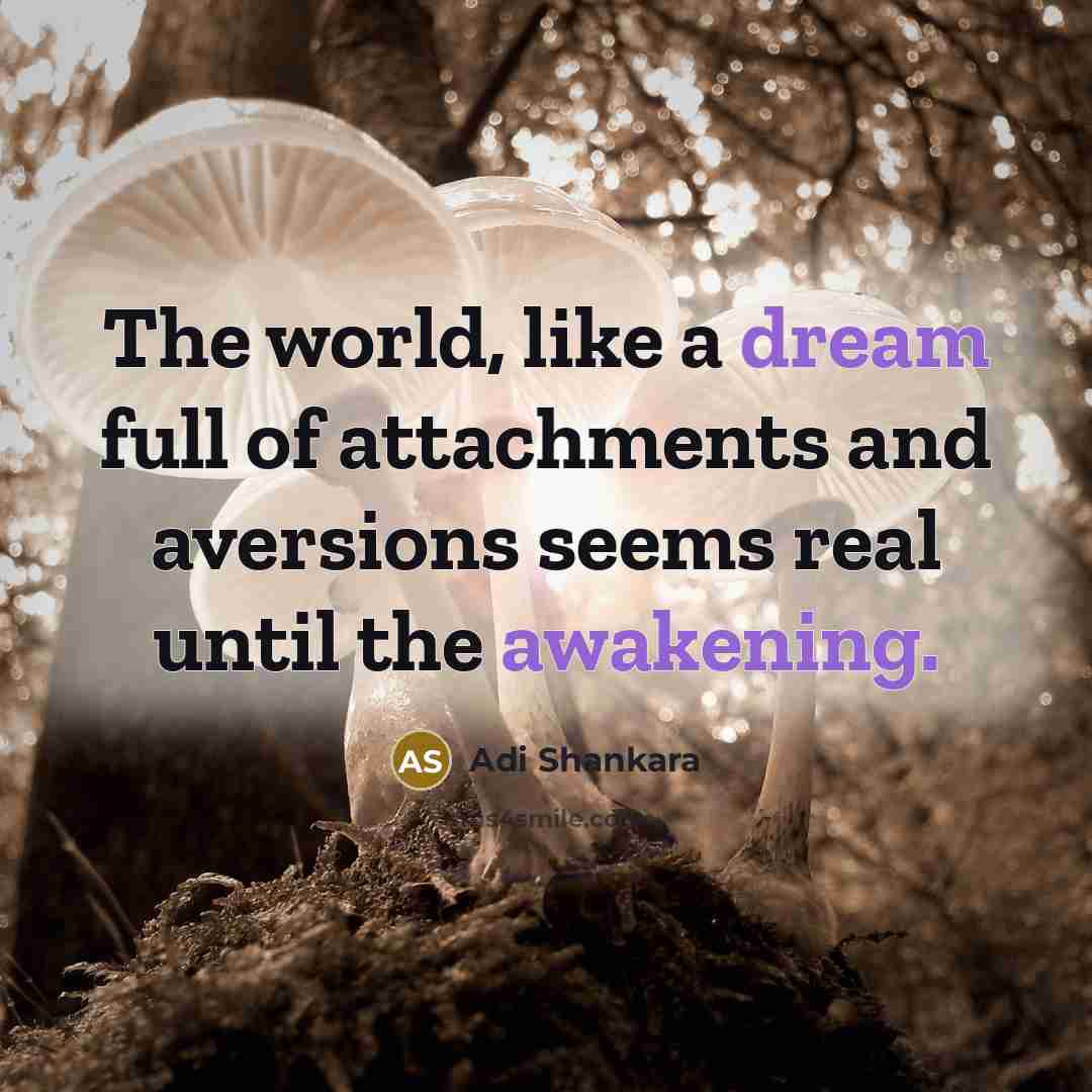“The world, like a dream full of attachments and aversions…” quote by Adi Shankara