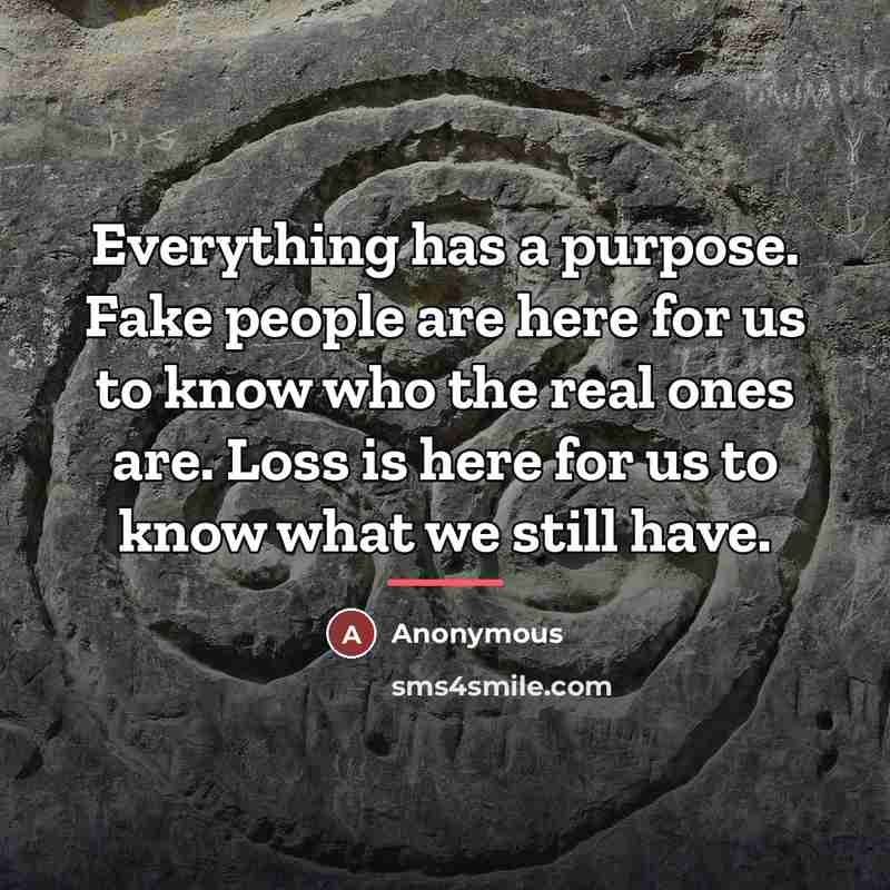 “Everything has a purpose. Fake people are here for us…” quote by Anonymous
