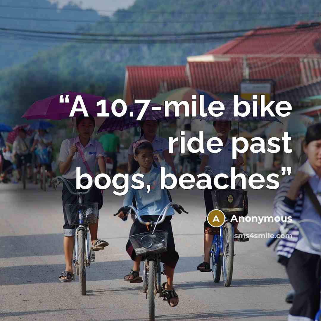 “A 10.7-mile bike ride past bogs, beaches” quote by Anonymous