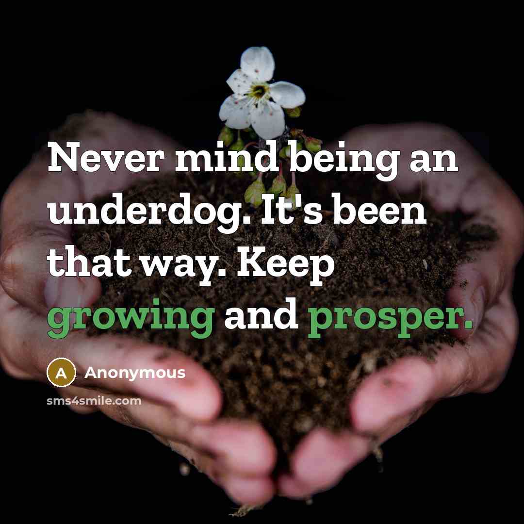 “Never mind being an underdog. It's been that way. Keep growing and prosper.” quote by Anonymous