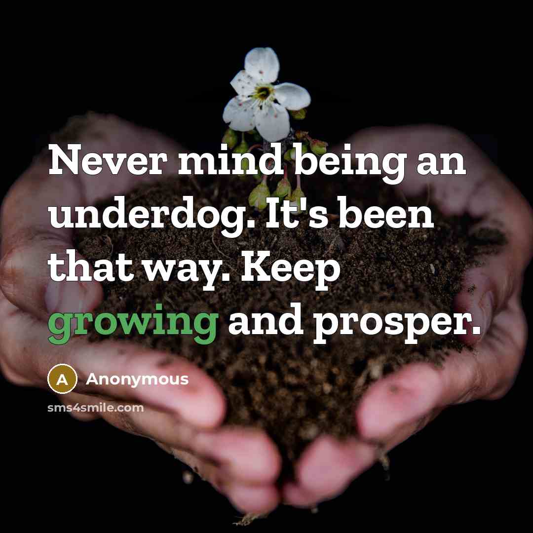 “Never mind being an underdog. It's been that way. Keep growing and prosper.” quote by Anonymous
