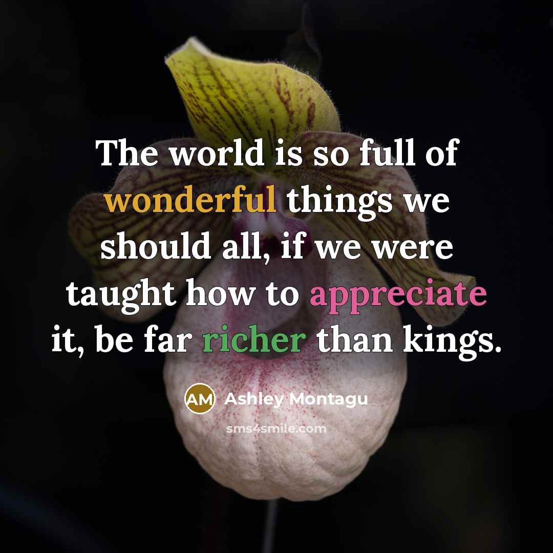 “The world is so full of wonderful things we should…” quote by Ashley Montagu