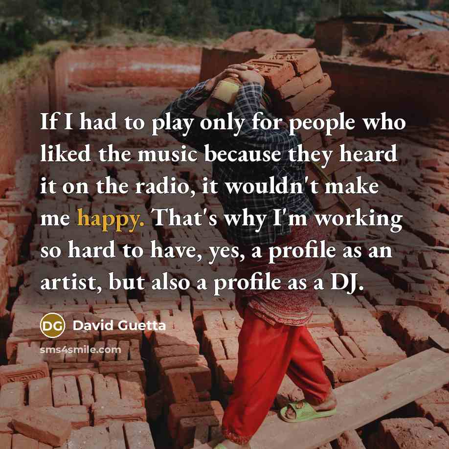 “If I had to play only for people who liked…” quote by David Guetta