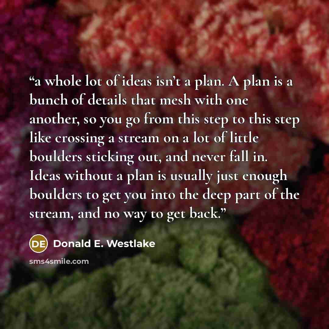 “a whole lot of ideas isn’t a plan. A plan is a bunch of details that mesh with one another, so you go from this step to this step like crossing a stream on a lot of little boulders sticking out, and never fall in. Ideas without a plan is usually just enough boulders to get you into the deep part…” quote by Donald E. Westlake