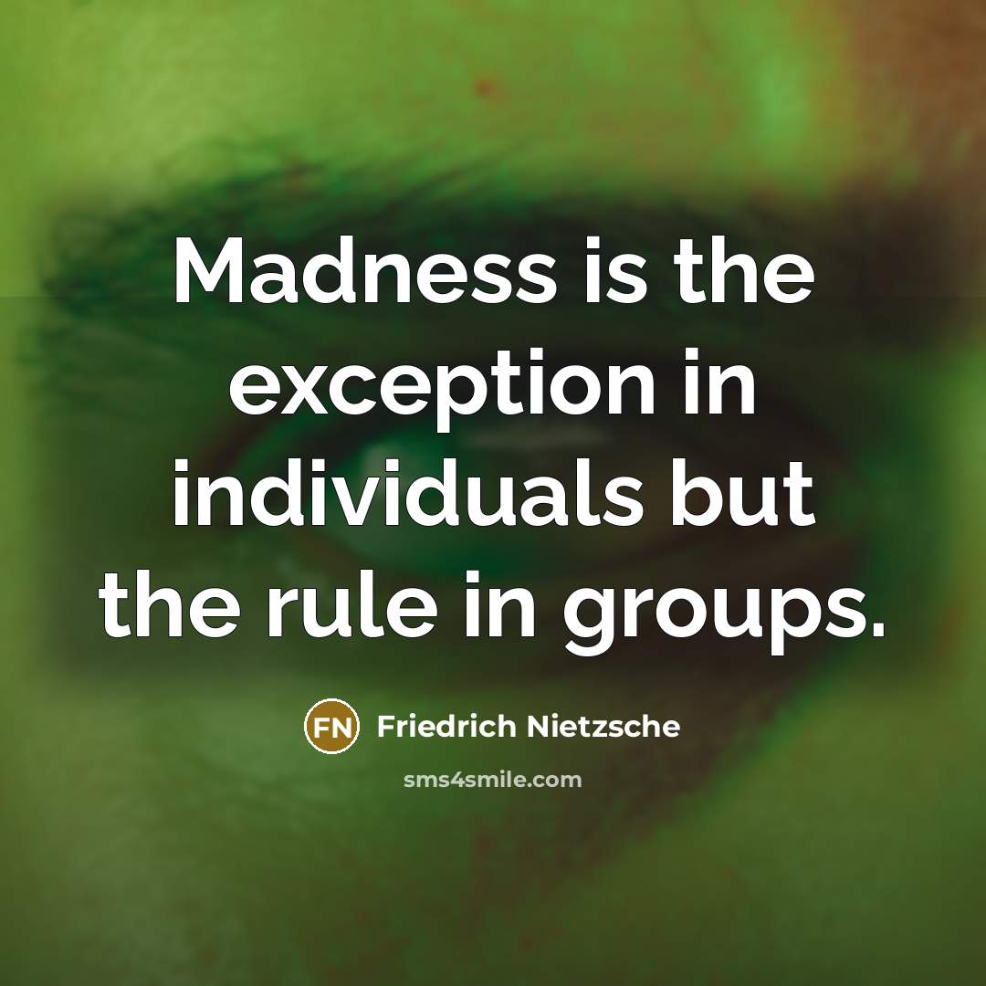 “Madness is the exception in individuals but the rule in…” quote by Friedrich Nietzsche