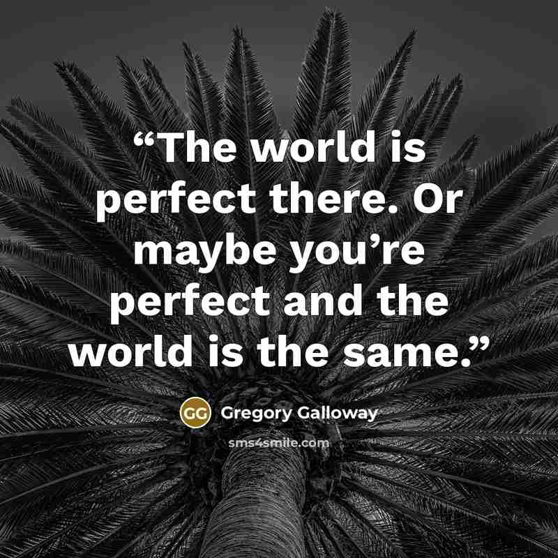 “The world is perfect there. Or maybe you’re perfect and the world is the same.” quote by Gregory Galloway