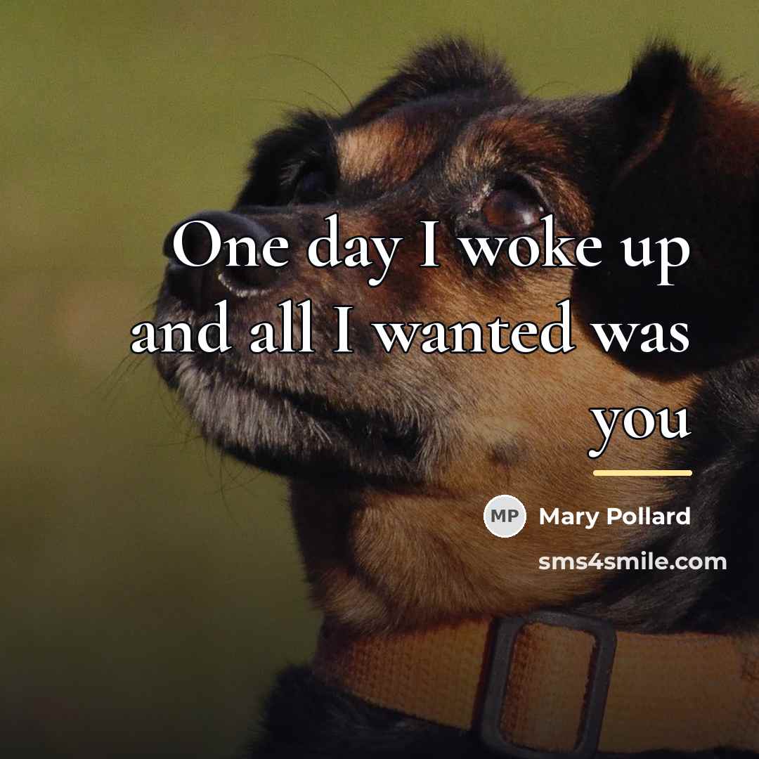 “One day I woke up and all I wanted was…” quote by Mary Pollard