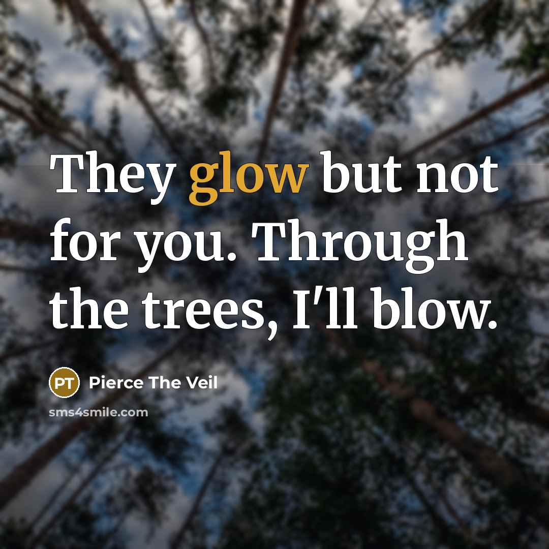 “They glow but not for you. Through the trees, I'll…” quote by Pierce The Veil