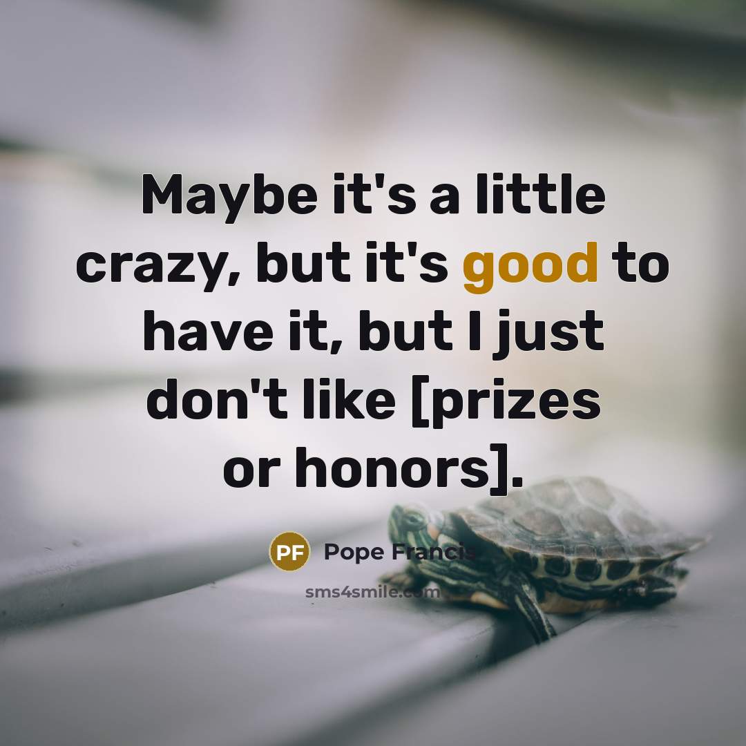 “Maybe it's a little crazy, but it's good to have…” quote by Pope Francis