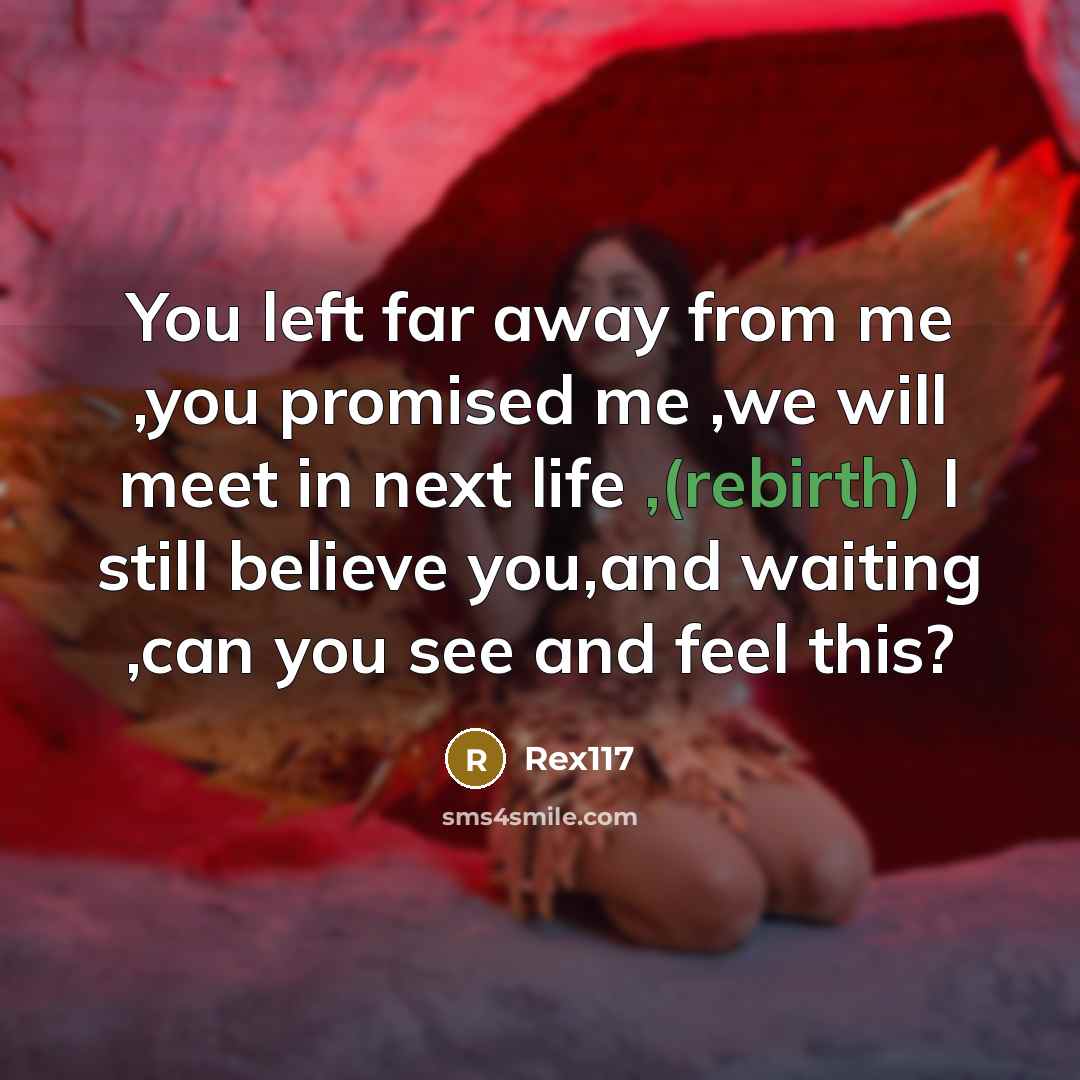 “You left far away from me ,you promised me ,we…” quote by Rex117