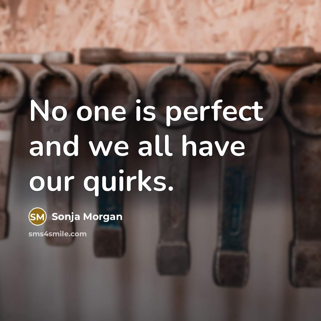 “No one is perfect and we all have our quirks.…” quote by Sonja Morgan