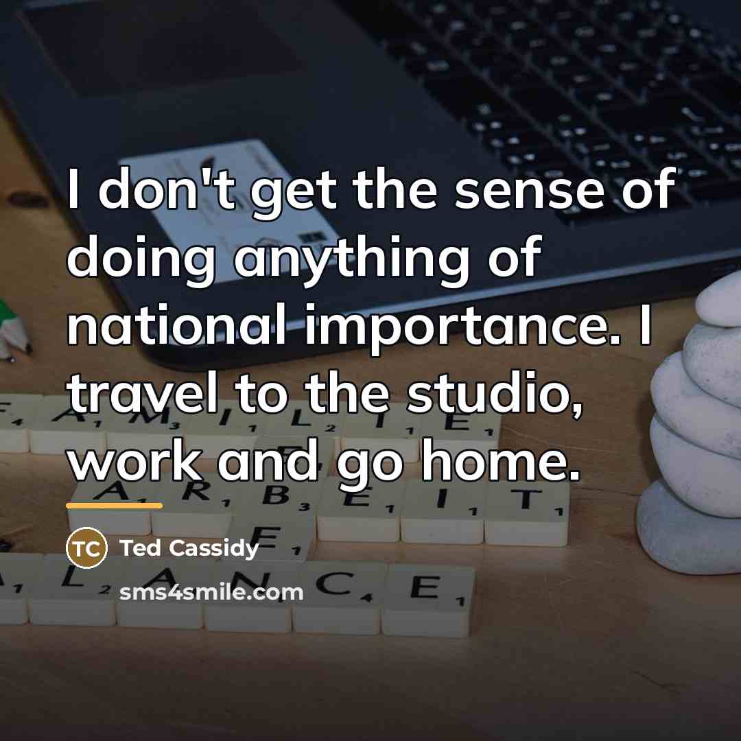 “I don't get the sense of doing anything of national…” quote by Ted Cassidy