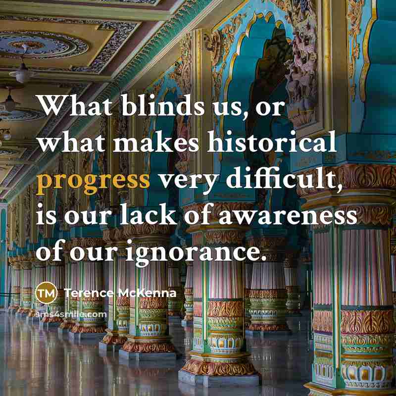 “What blinds us, or what makes historical progress very difficult,…” quote by Terence McKenna