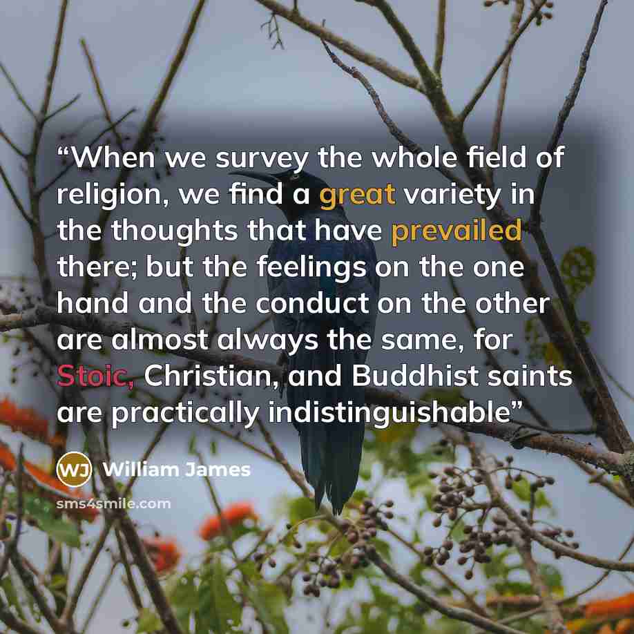 “When we survey the whole field of religion, we find a great variety in the thoughts that have prevailed there; but the feelings on the one hand and the conduct on the other are almost always the same, for Stoic, Christian, and Buddhist saints are practically indistinguishable” quote by William James