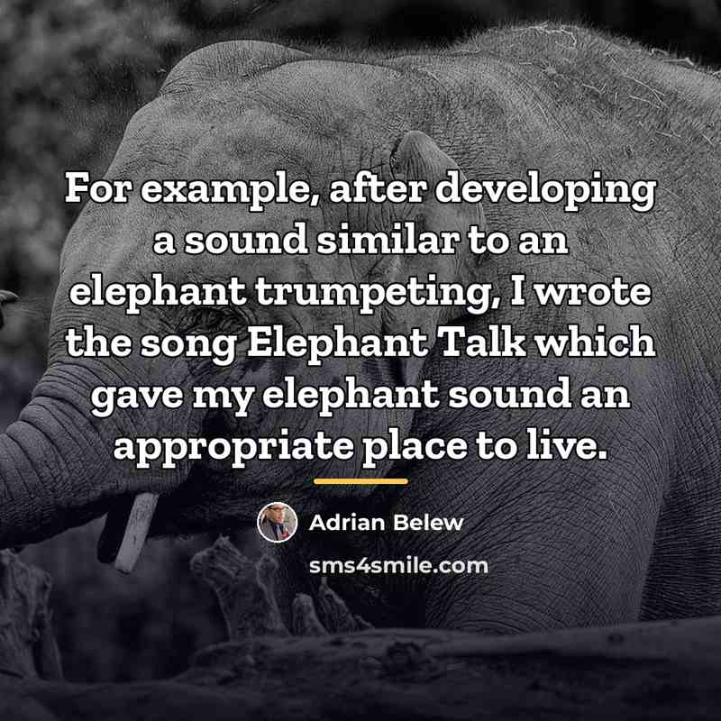 “For example, after developing a sound similar to an elephant…” quote by Adrian Belew