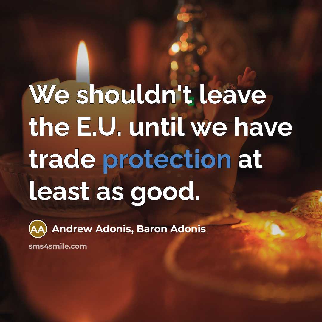 “We shouldn't leave the E.U. until we have trade protection…” quote by Andrew Adonis, Baron Adonis