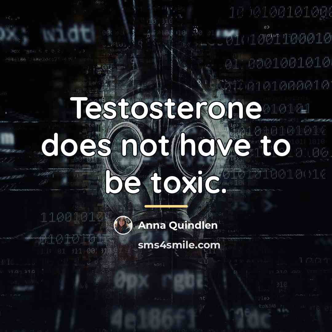 “Testosterone does not have to be toxic.…” quote by Anna Quindlen