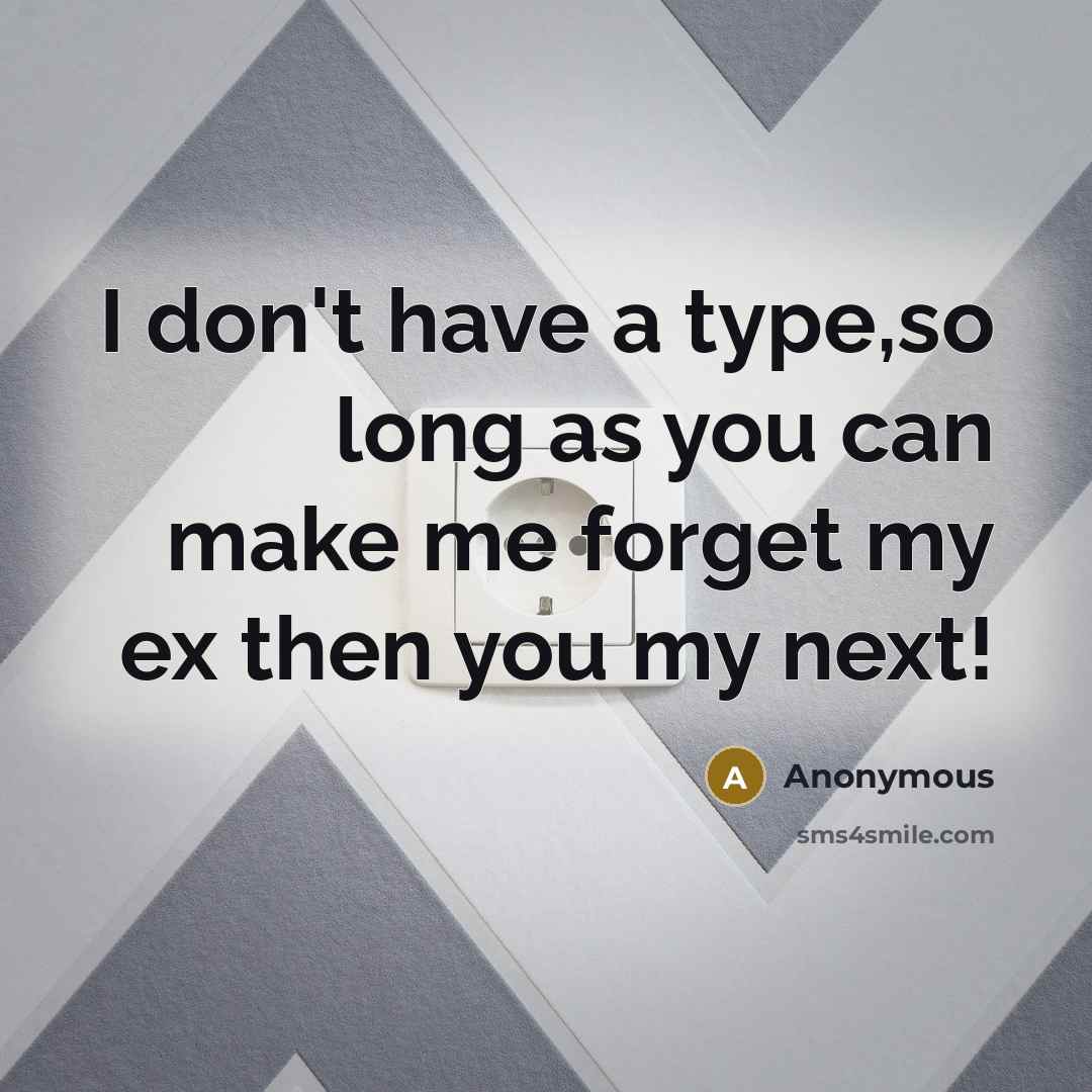 “I don't have a type,so long as you can make…” quote by Anonymous