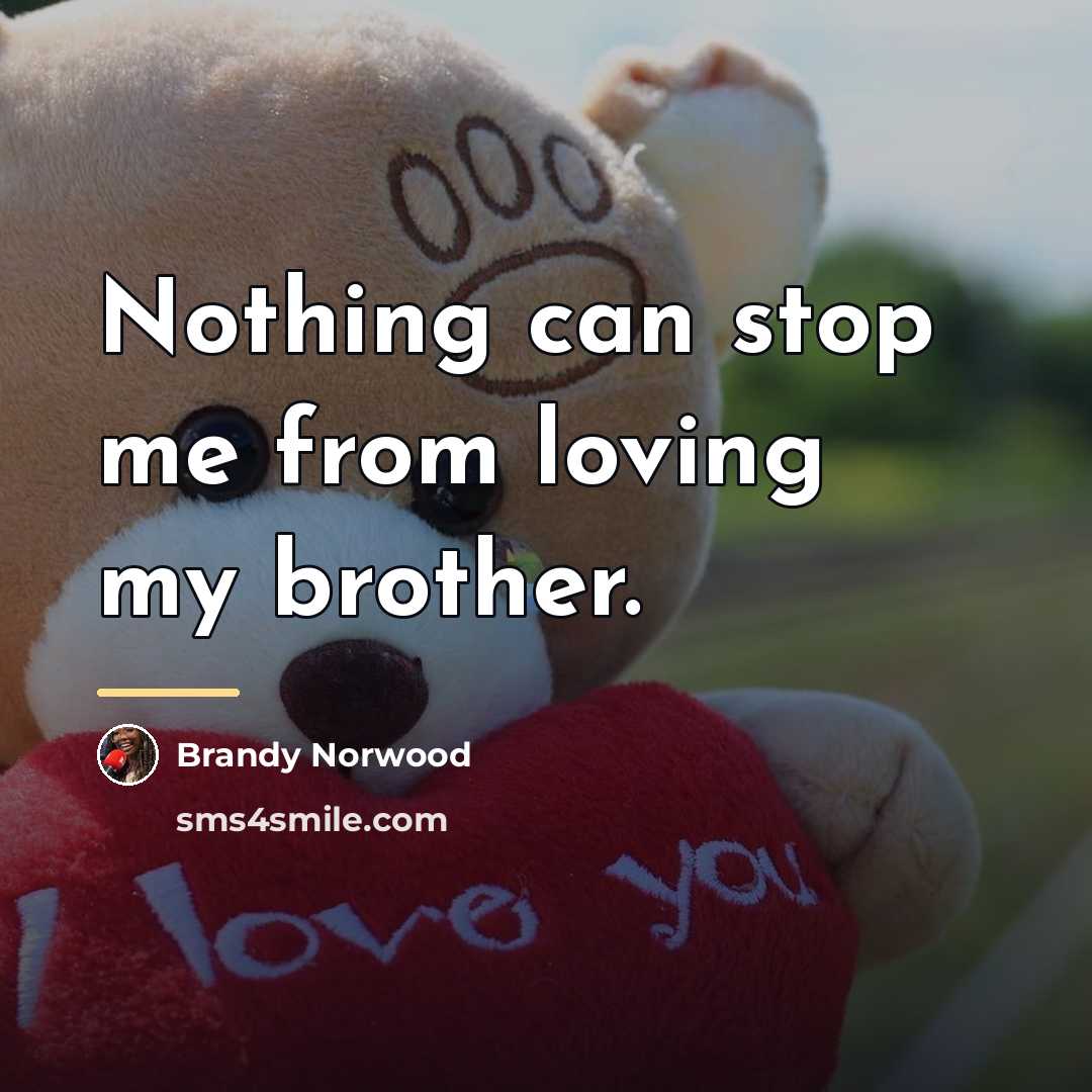 “Nothing can stop me from loving my brother.…” quote by Brandy Norwood
