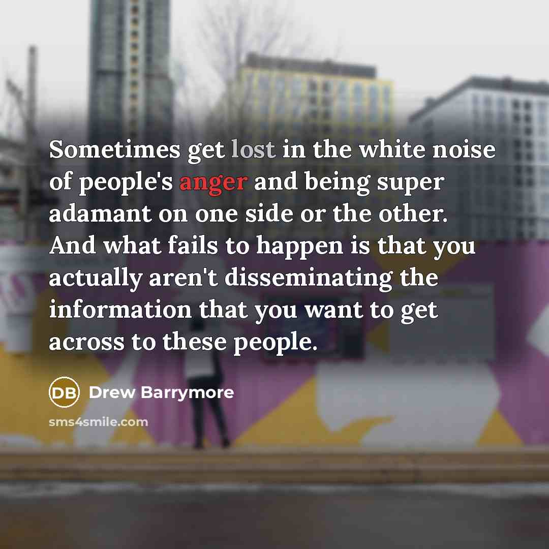 “Sometimes get lost in the white noise of people's anger…” quote by Drew Barrymore