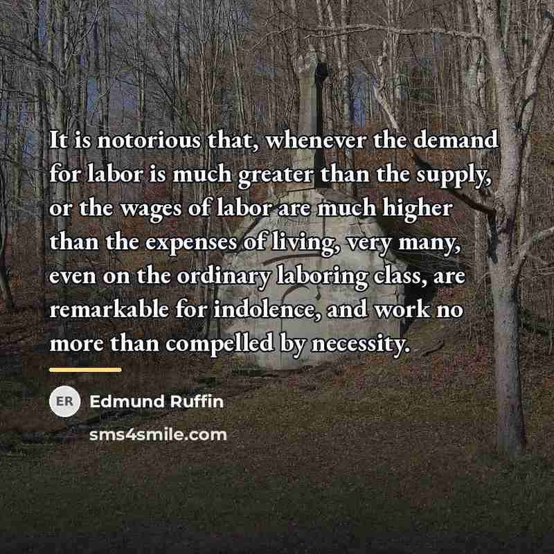 “It is notorious that, whenever the demand for labor is…” quote by Edmund Ruffin