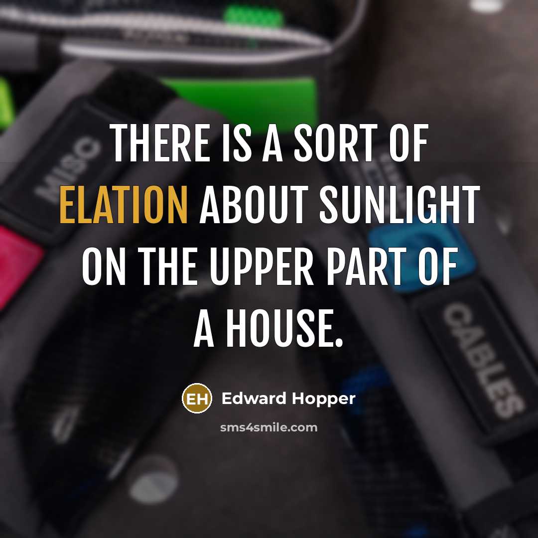 “There is a sort of elation about sunlight on the…” quote by Edward Hopper