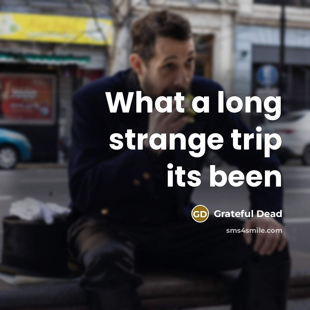 “What a long strange trip its been…” quote by Grateful Dead