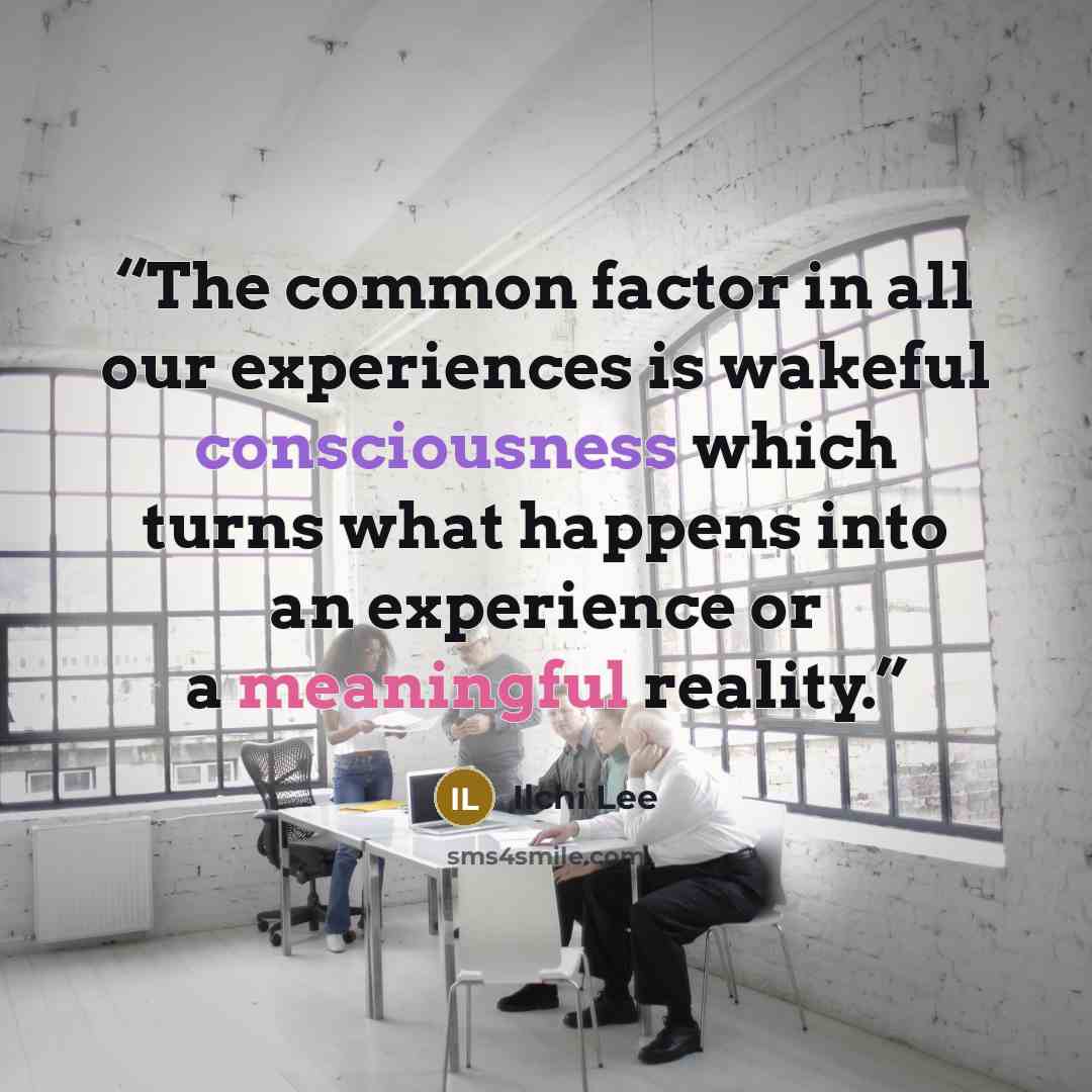 “The common factor in all our experiences is wakeful consciousness which turns what happens into an experience or a meaningful reality.” quote by Ilchi Lee