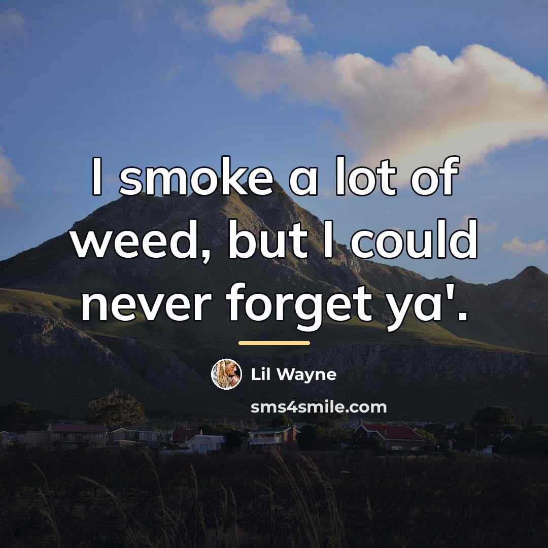“I smoke a lot of weed, but I could never…” quote by Lil Wayne