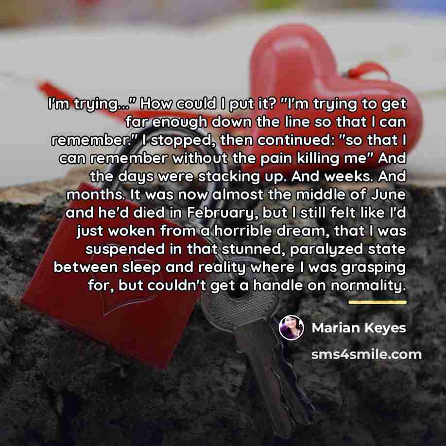 “I'm trying..." How could I put it? "I'm trying to…” quote by Marian Keyes