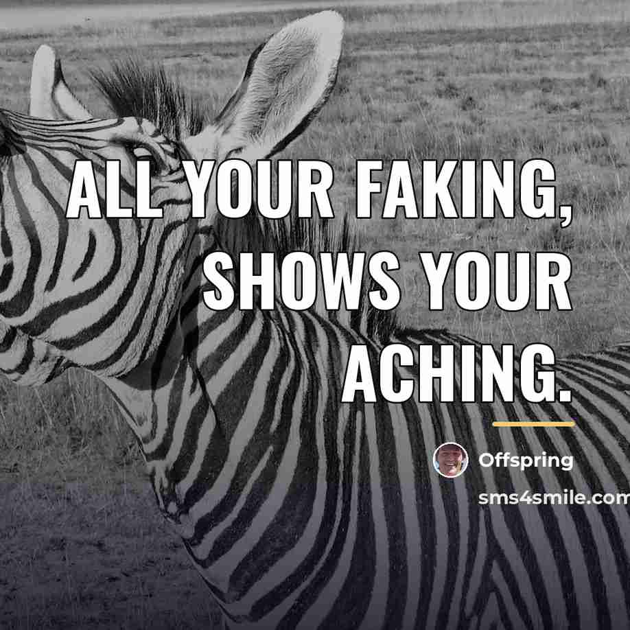 “All your faking, shows your aching.…” quote by Offspring