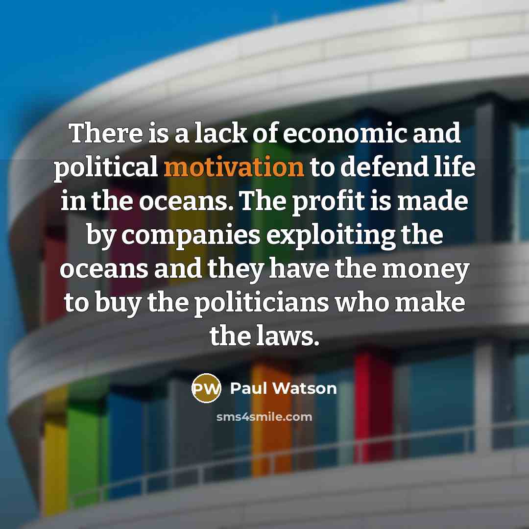 “There is a lack of economic and political motivation to…” quote by Paul Watson