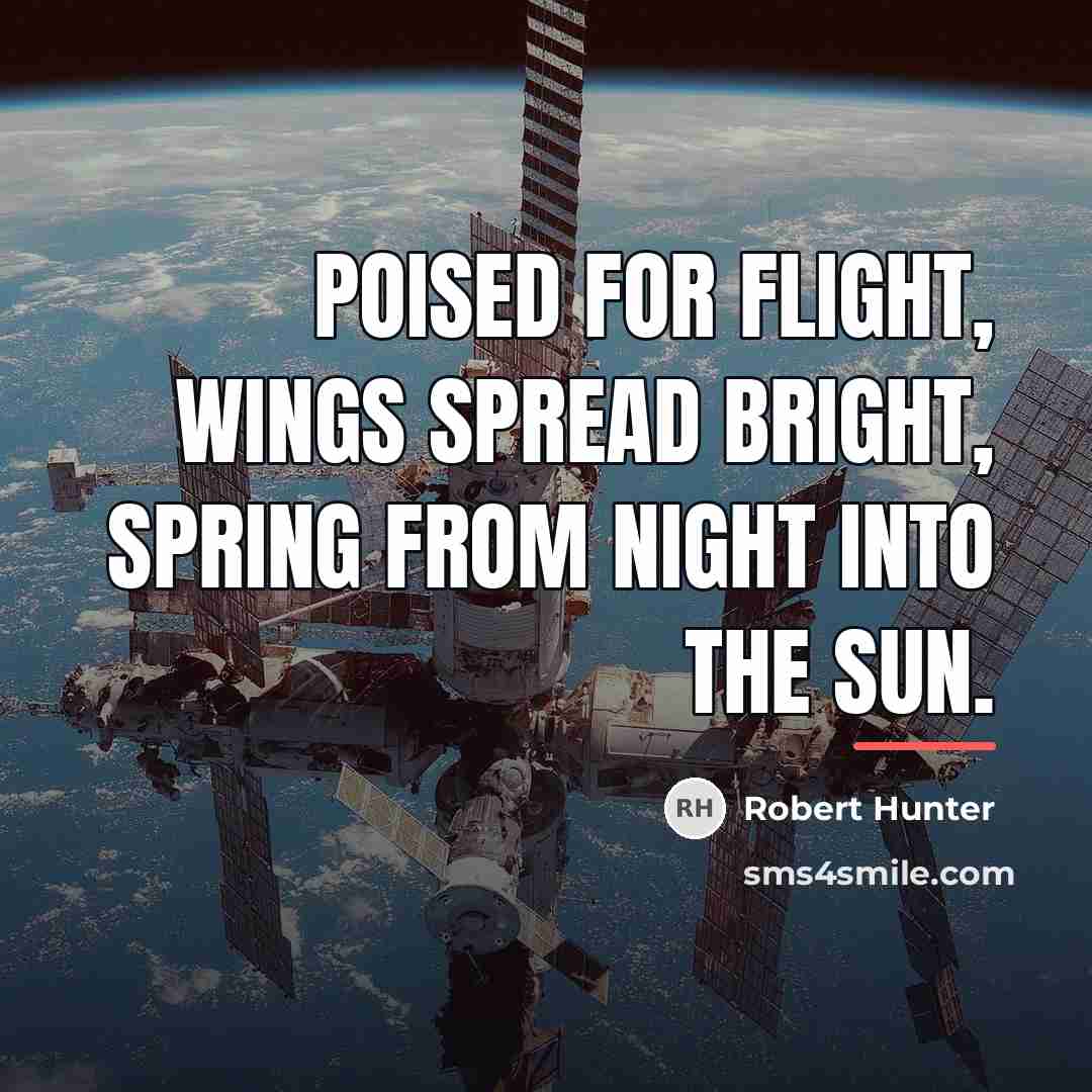 “Poised for flight, Wings spread bright, Spring from night into…” quote by Robert Hunter