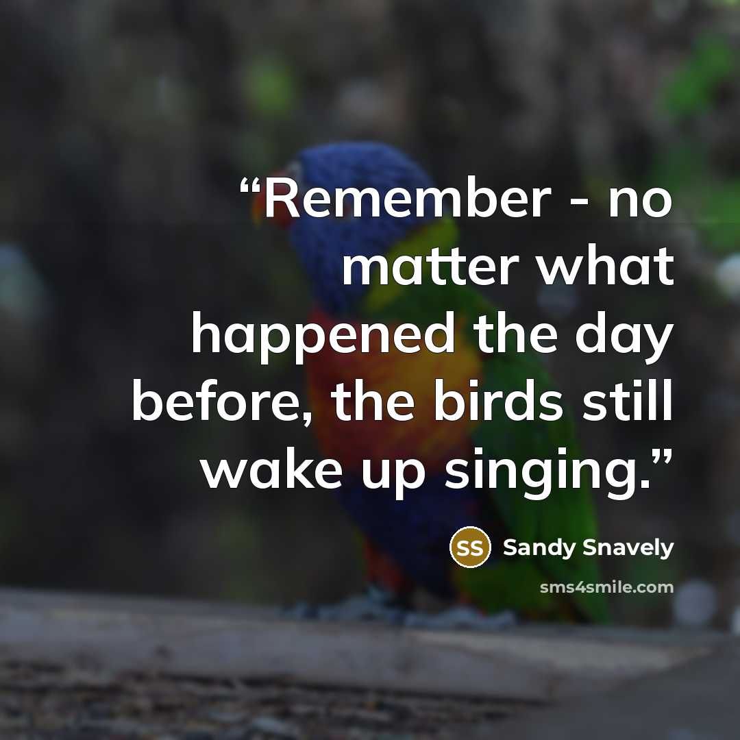 “Remember - no matter what happened the day before, the birds still wake up singing.” quote by Sandy Snavely