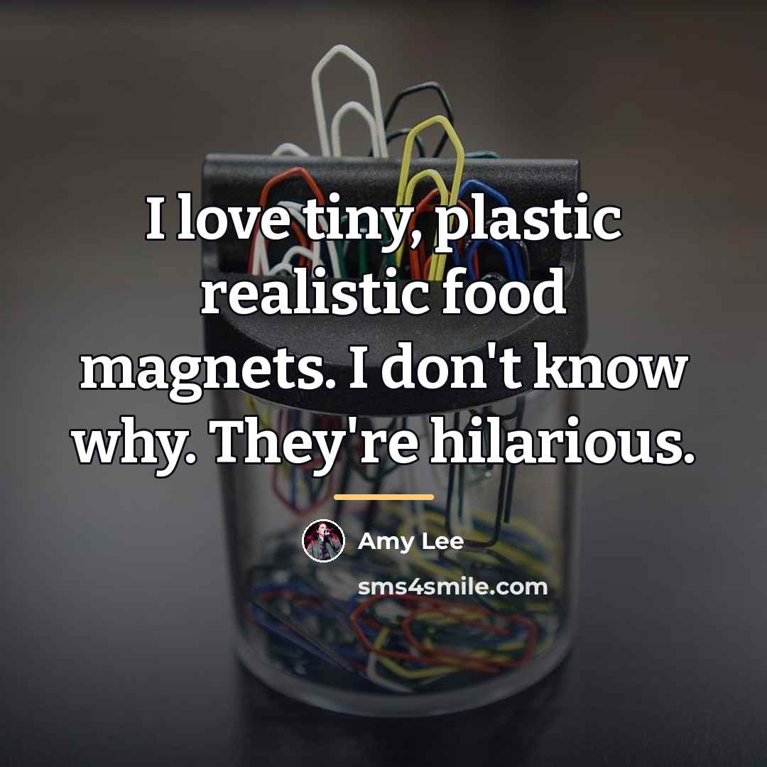 “I love tiny, plastic realistic food magnets. I don't know…” quote by Amy Lee
