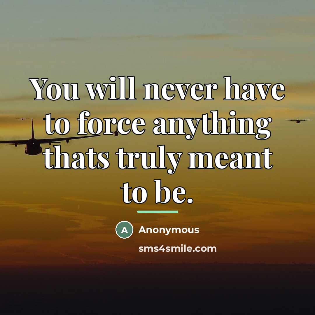 “You will never have to force anything thats truly meant…” quote by Anonymous