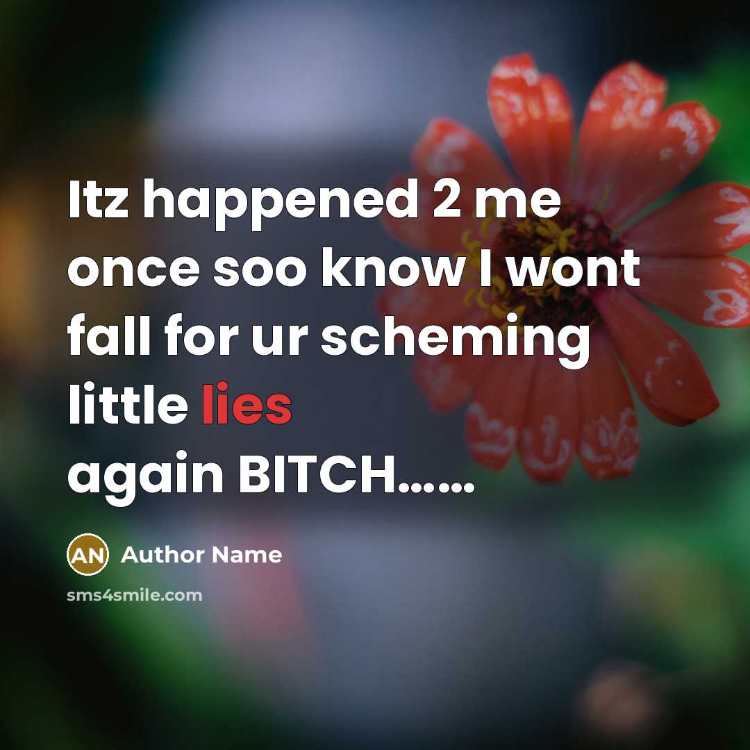 “Itz happened 2 me once soo know I wont fall for ur scheming little lies again BITCH……” quote by Author Name